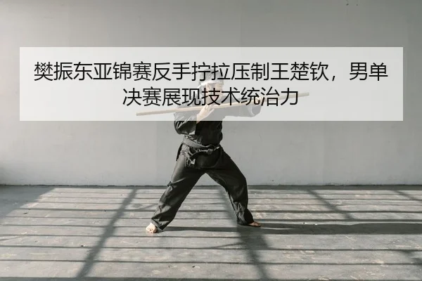 樊振东亚锦赛反手拧拉压制王楚钦，男单决赛展现技术统治力